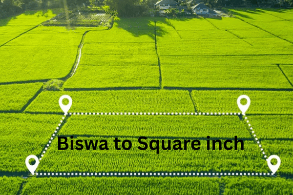 Biswa to Square inch
