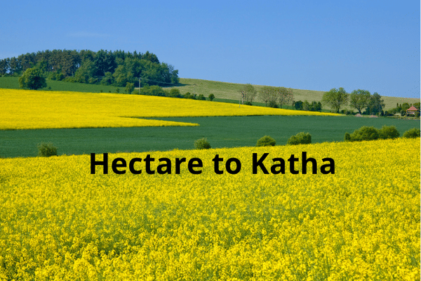 Hectare to Katha