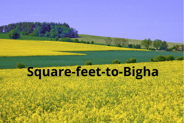 Square feet to Bigha