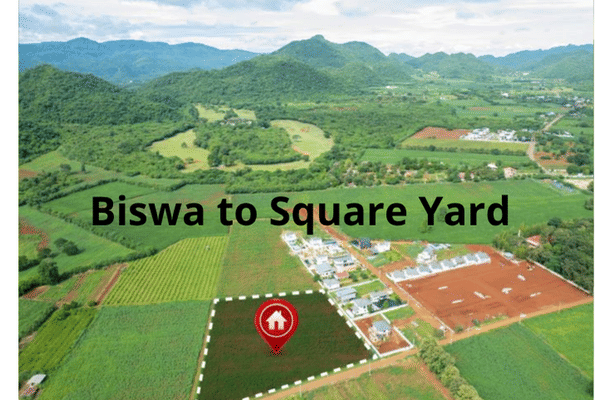 Biswa to Square Yard
